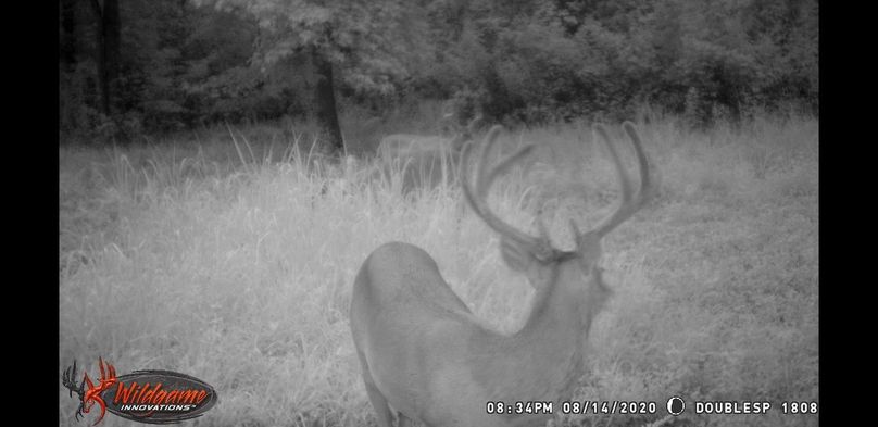 Screenshot 20200910-092509 gallery