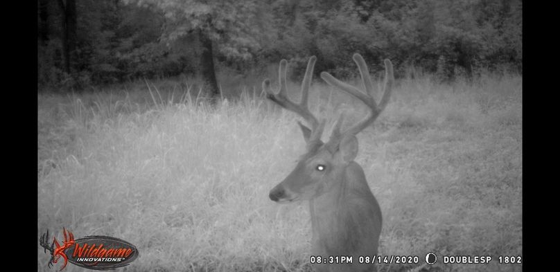 Screenshot 20200910-092639 gallery