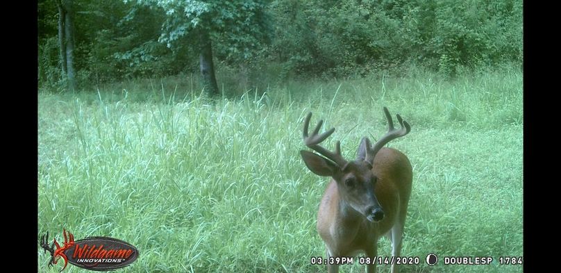 Screenshot 20200910-092728 gallery