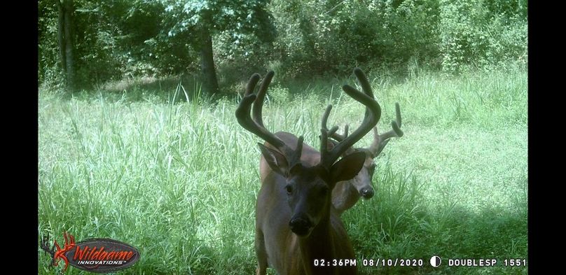 Screenshot 20200910-092954 gallery