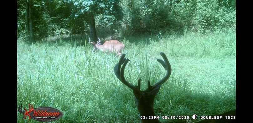 Screenshot 20200910-093053 gallery