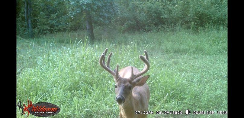 Screenshot 20200910-093117 gallery