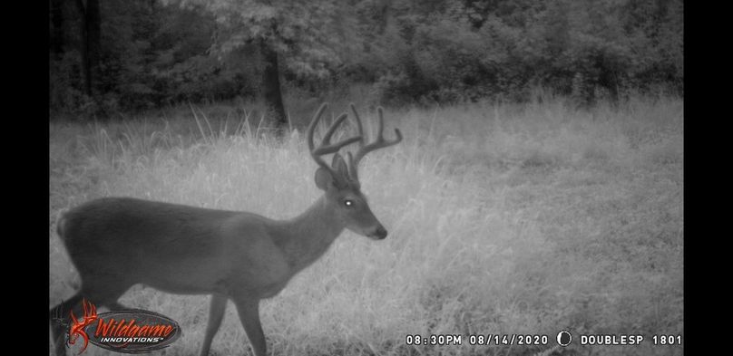 Screenshot 20200910-093546 gallery