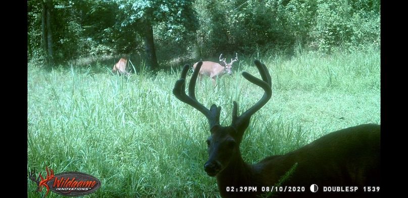 Screenshot 20200910-093650 gallery