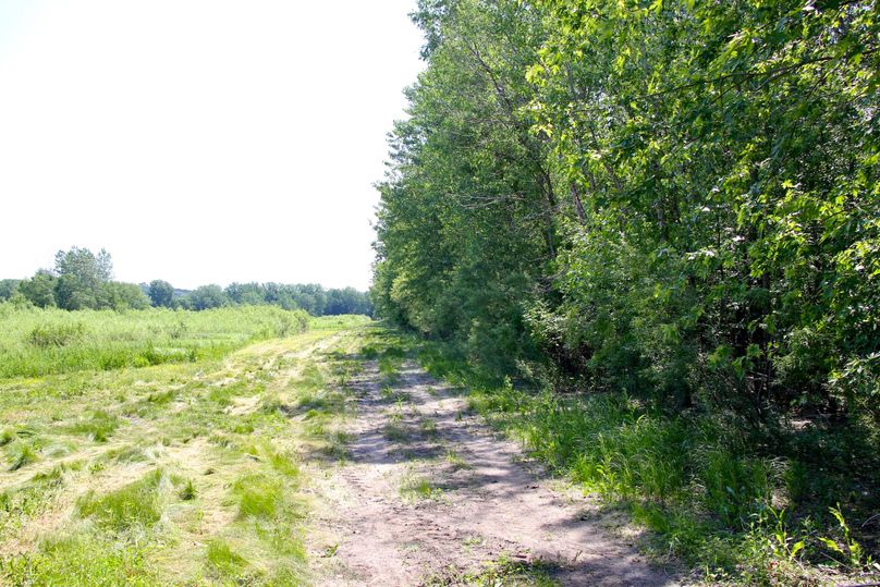 Pic 6 main access trail