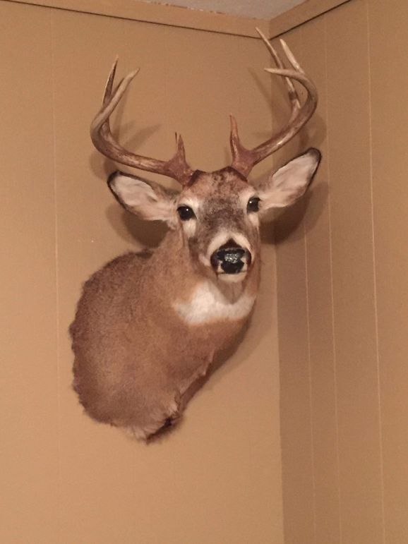 Pic 7 shoulder mount