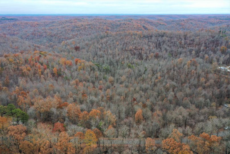 002 drone shot from the west boundary overlooking the property and natioal forest to the east