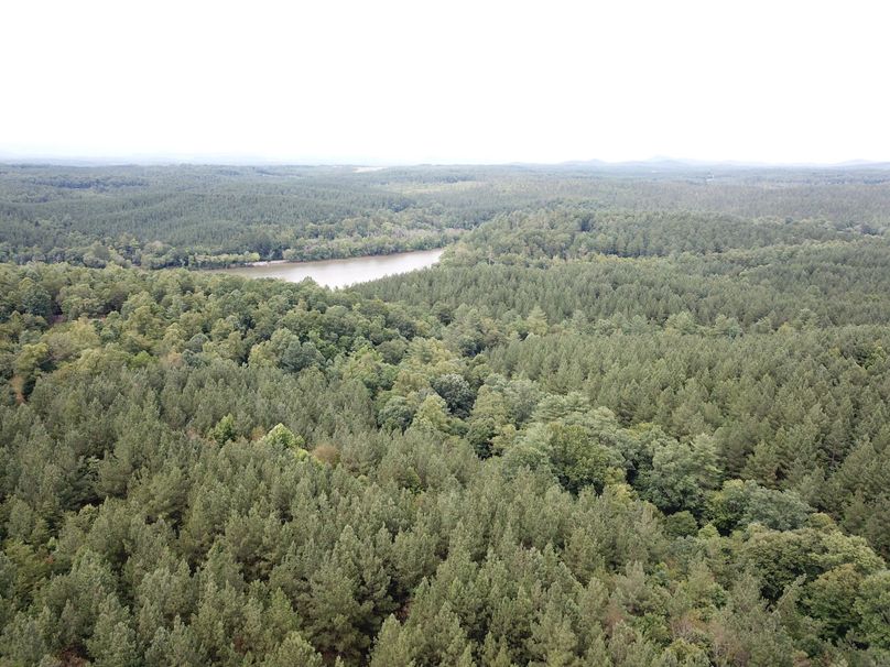 005 aerial of river frontage 