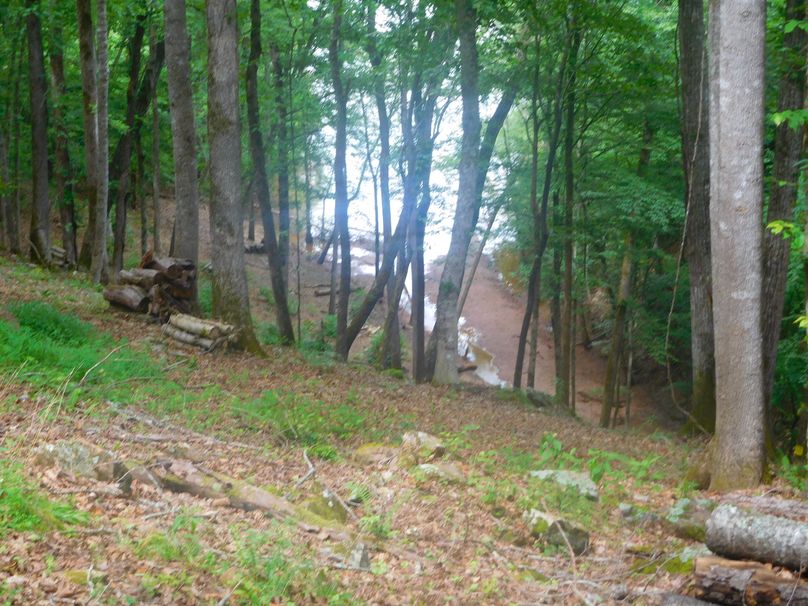 015 view of the catawba river from back of homesite