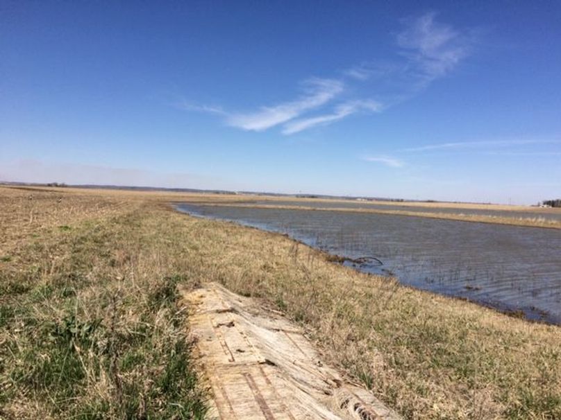 SW1nIDAwODIgb3JpZ2luYWw=