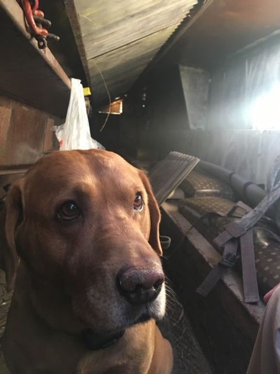 SW1nIDEwMTUgb3JpZ2luYWw=