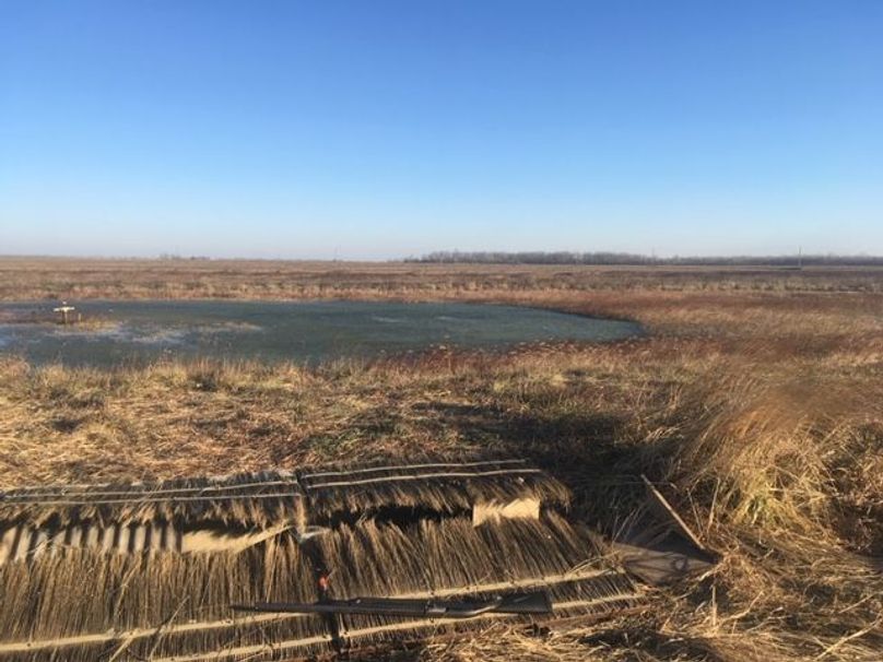 SW1nIDEwMTIgb3JpZ2luYWw=