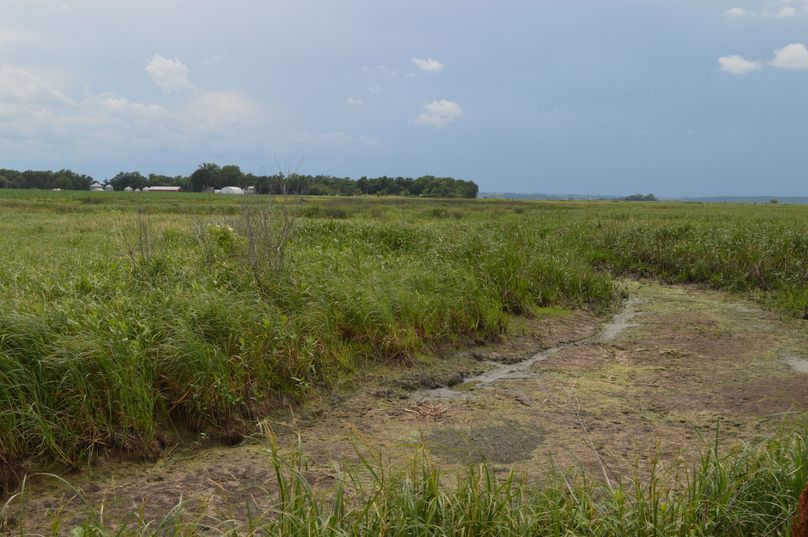 MjAyMC0wNi0yMiAxNS4xNS4zMQ==