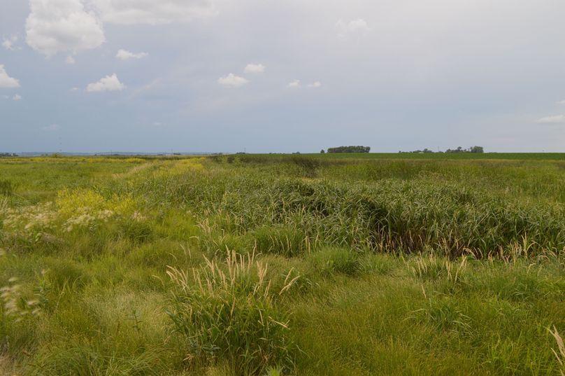 MjAyMC0wNi0yMiAxNS4xOS4zOQ==