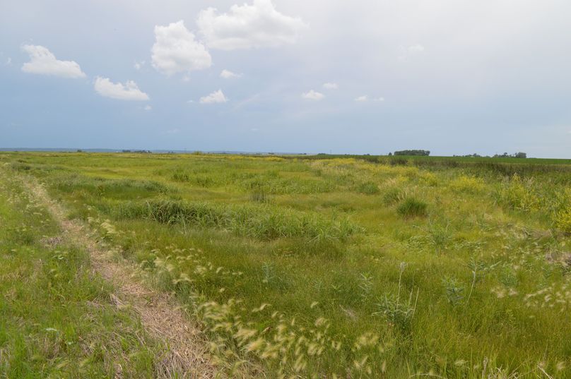 MjAyMC0wNi0yMiAxNS4xOS41Ng==