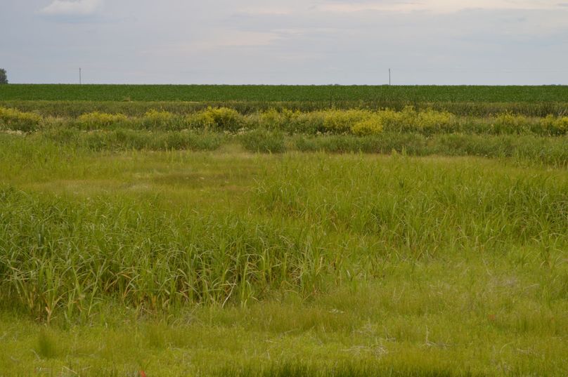 MjAyMC0wNi0yMiAxNS4yMS4wNg==