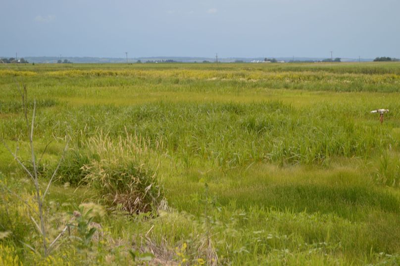 MjAyMC0wNi0yMiAxNS4yMS4wOQ==