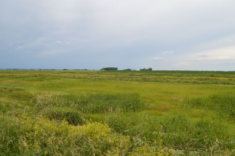 MjAyMC0wNi0yMiAxNS4yMy40MQ==