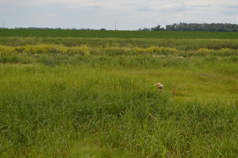 MjAyMC0wNi0yMiAxNS4yMy40Ng==