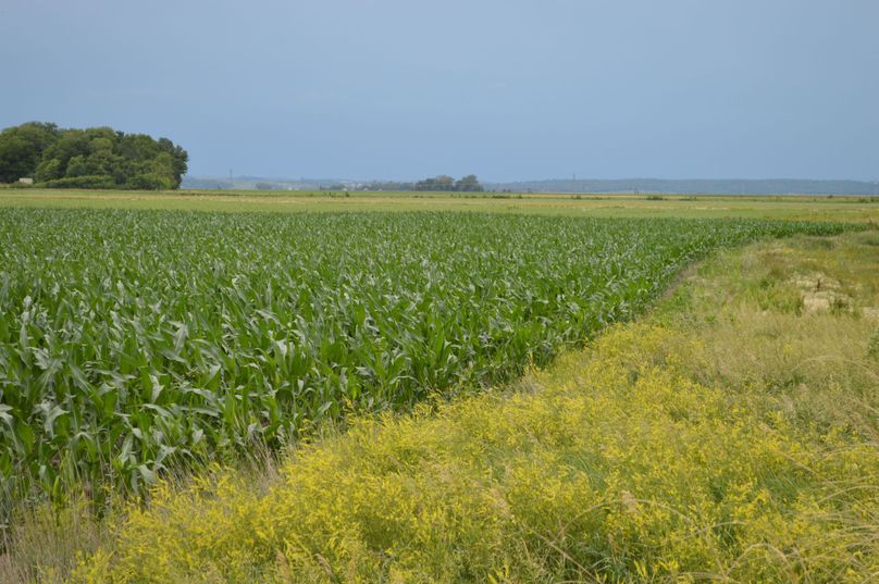 MjAyMC0wNi0yMiAxNS4yMy41NQ==