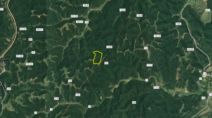 Gilbert - 95 acres - wirt county - distant aerial