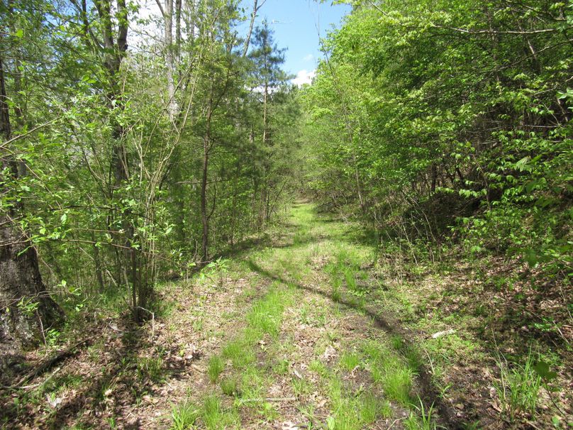 Trail system (4)