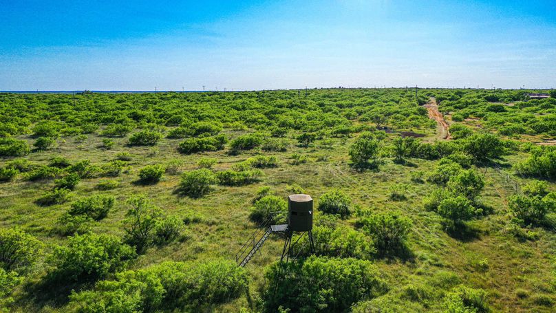 VFVSQmVGa3lPVEphV0VrOQ==