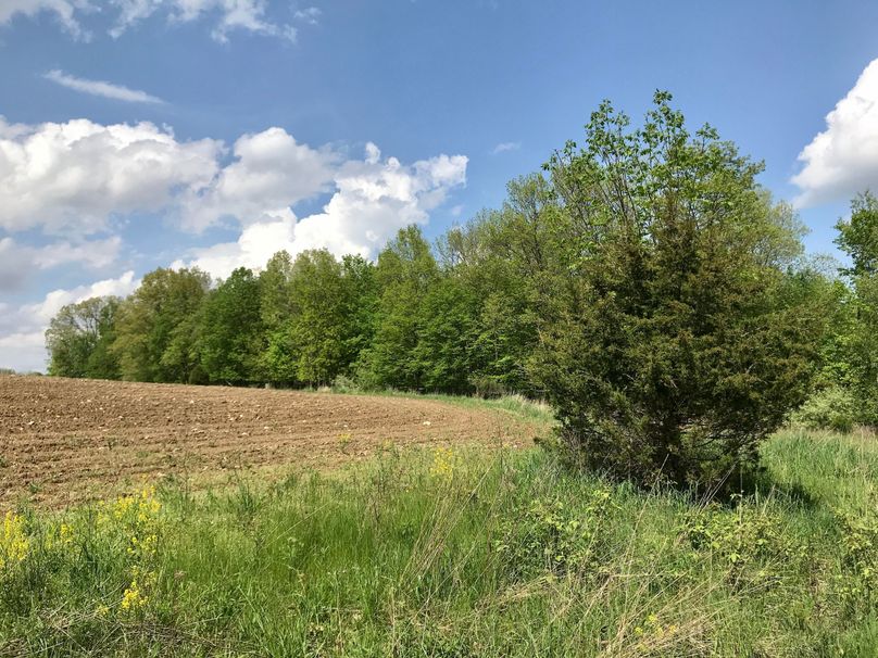 55(1)