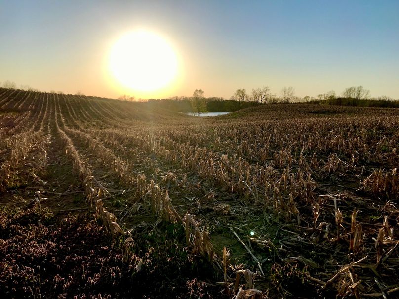 Copy of 51 stearns rd corn contour sunset
