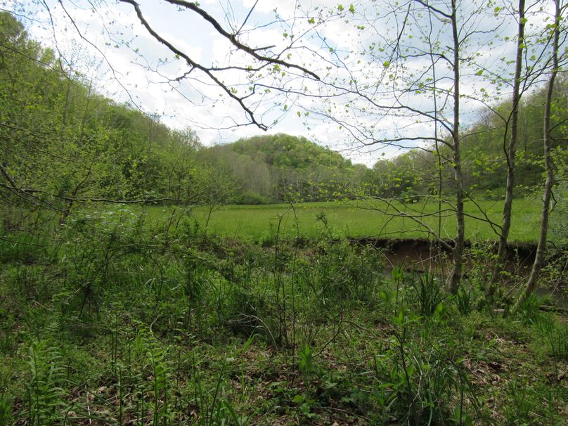 Looking across creek into field