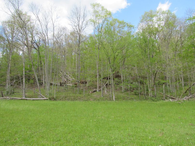 Timber behind field