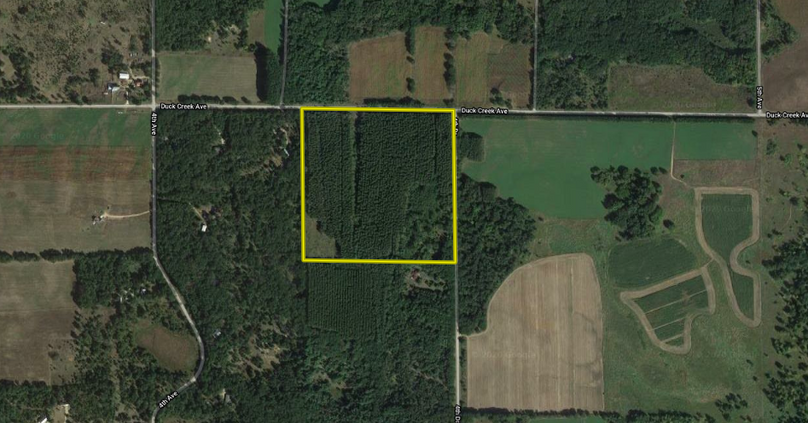 Screen shot 2020-05-11 at 9.27.45 am