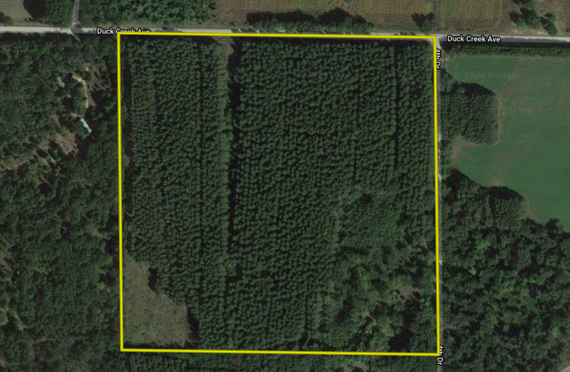 Screen shot 2020-05-11 at 9.27.25 am