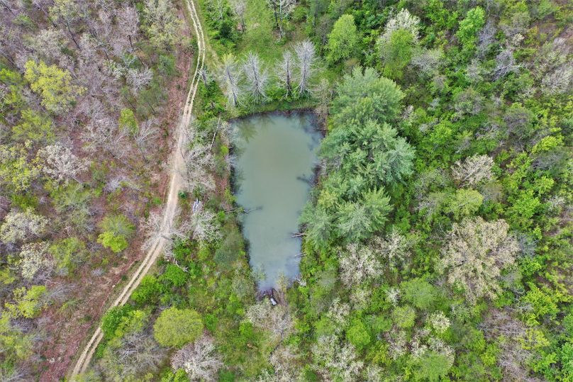 012 gorgeous drone shot looking down on the road and pond