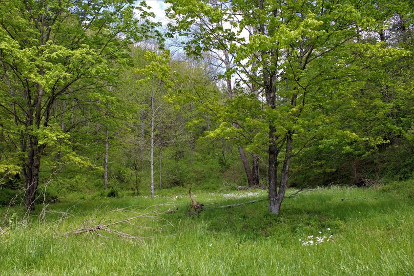 021 beautiful potential homesite tucked back into the valley