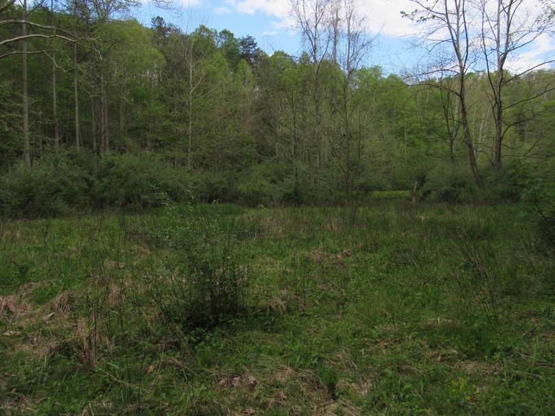 Creek bottom field