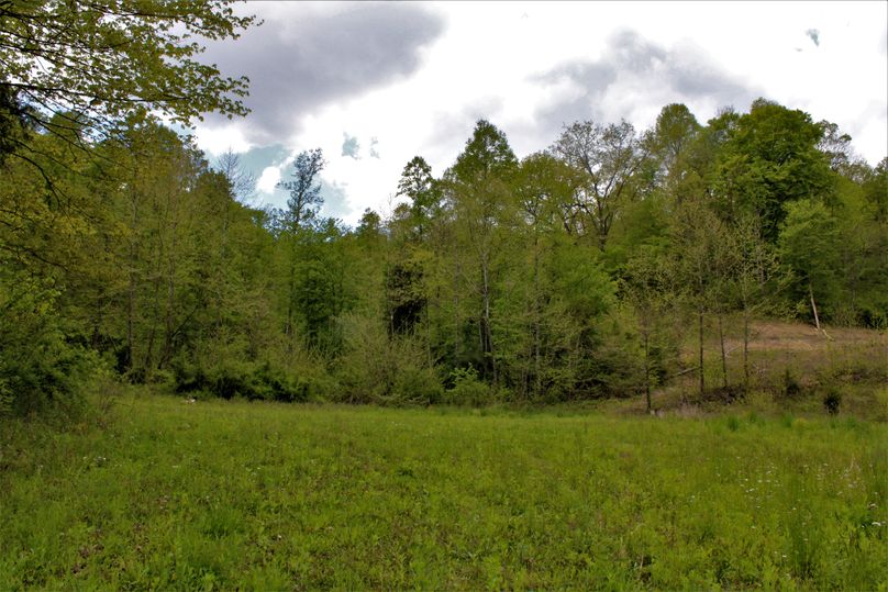 003 beautiful potential homesite looking over the pond and down the valley