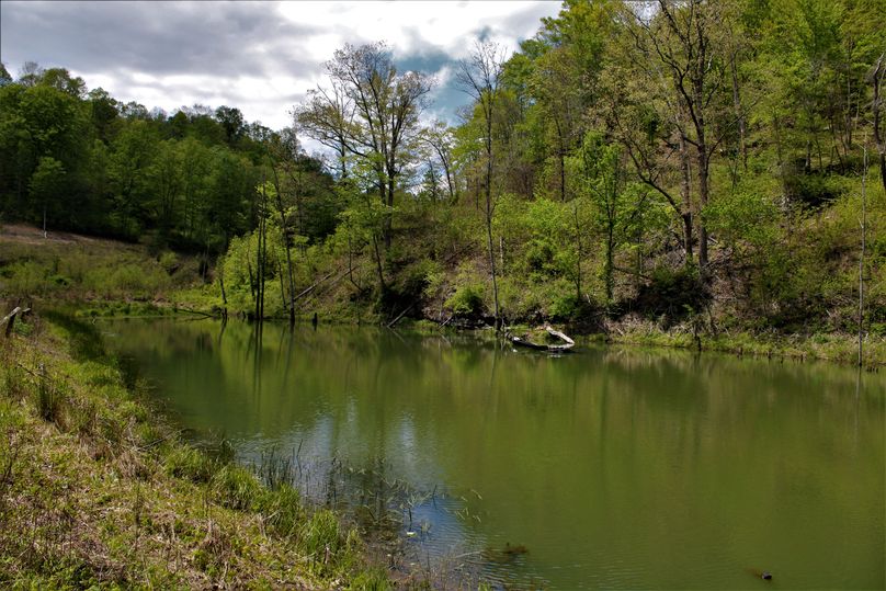 001 jaw dropping pond view with potential homesite