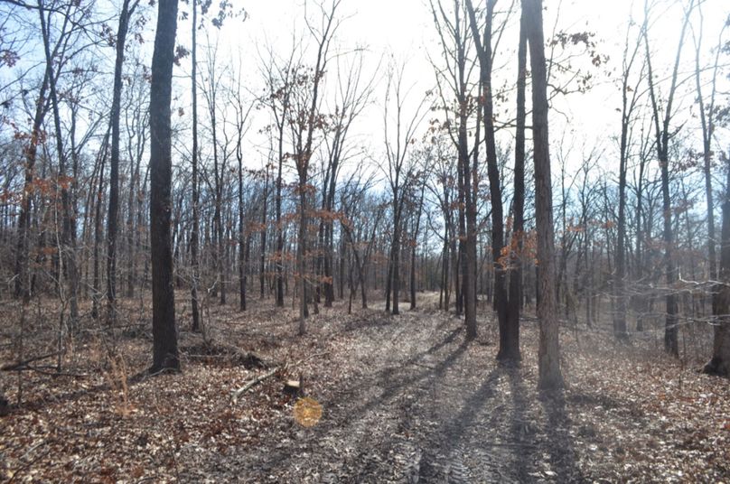 Thumb dsc 0009 1024(1)