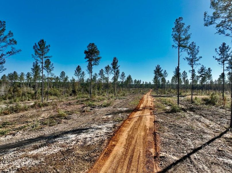 00871BA3-10F1-40A5-BA56-24AB7179EB76_1_201_a