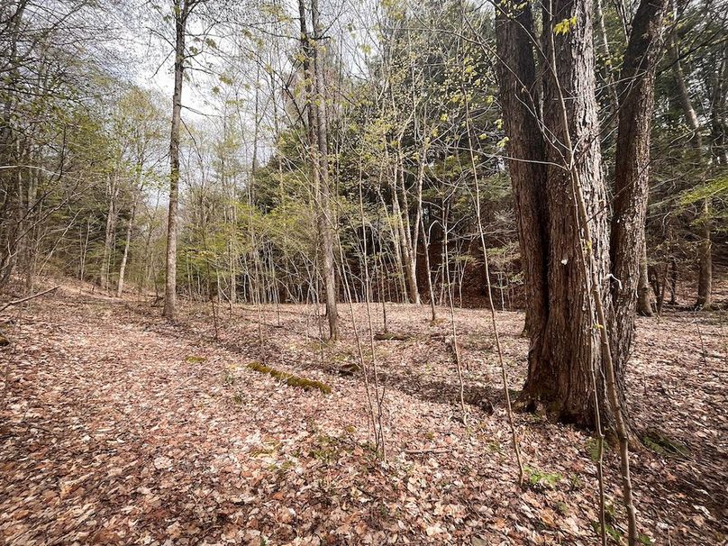 Tioga_76.65_Matyjas_Photos_27