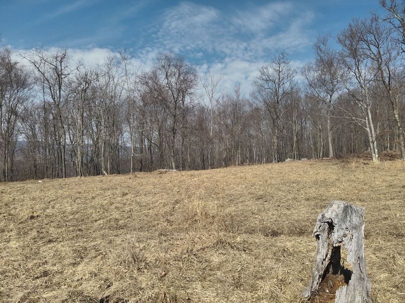 DJI_20250304115539_0036_V