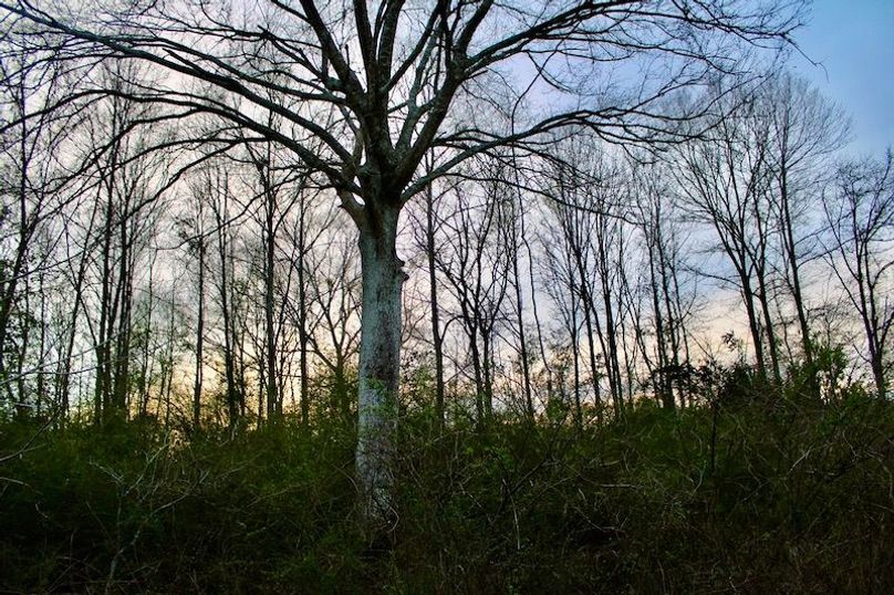 4F469152-22E0-4CF6-B79A-4E925A59403C_1_105_c