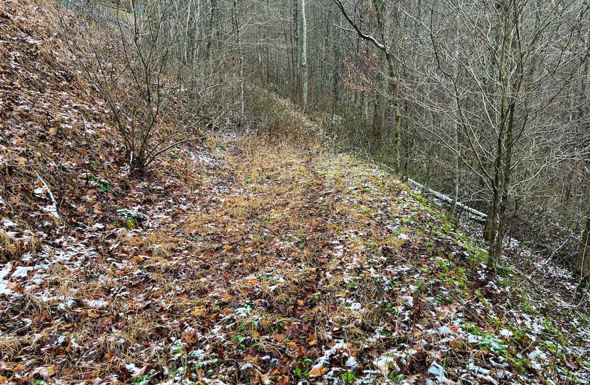 Braxton, WV 82 AC Greene -05