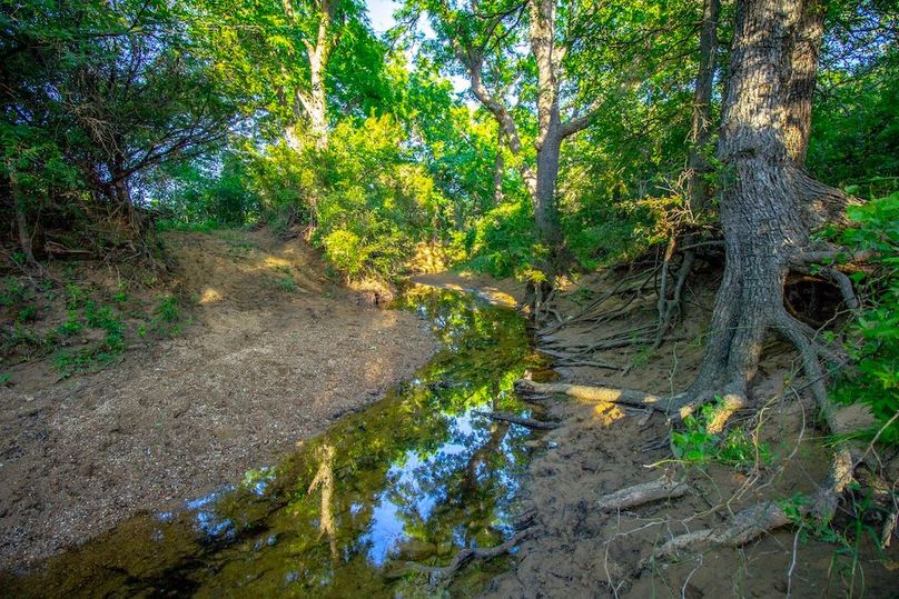 15.Creek 2