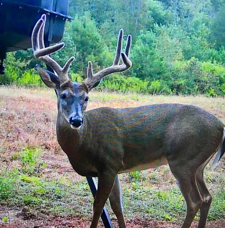 View recent photos(1)