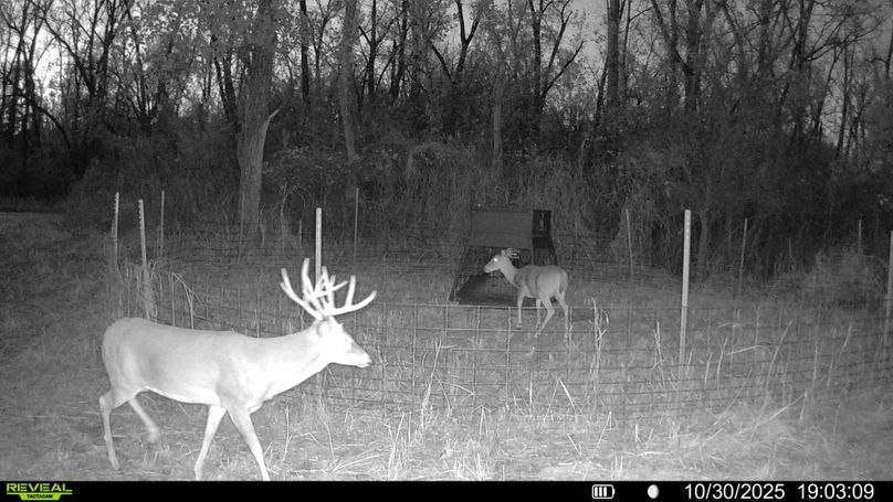 016687000319968-67-3-10302025192026-HD-SYFW01494