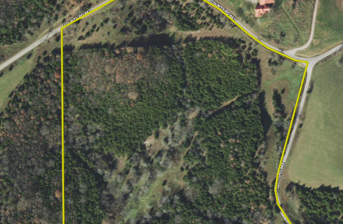 Screen Shot 2025-03-06 at 9.11.05 AM