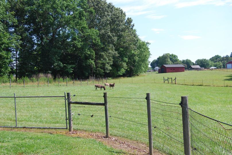 020 fenced pasture