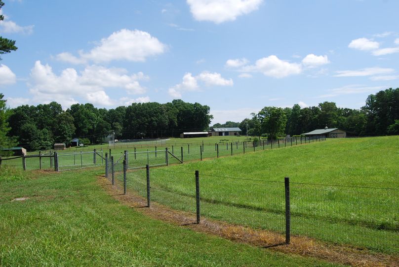 031 fenced pasture